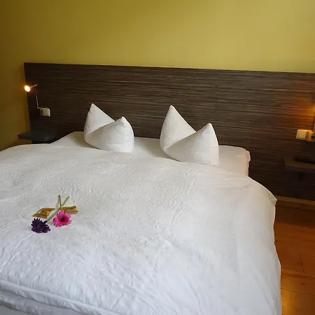 Stadthotel 3* Регенсбург